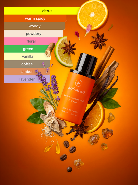 Noùmeno New York Concrete Jungle 38% – 100ml EXTRAIT